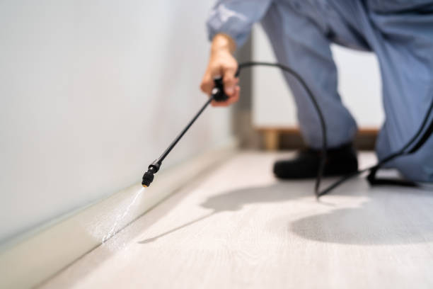 Licensed Termite Control service in Otter Tail County County, MN - Nex Pest Control