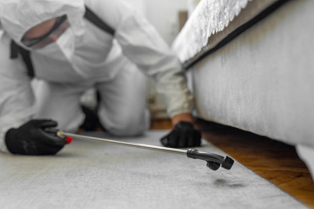 Professional Termite Control technician working in Otter Tail County County, MN